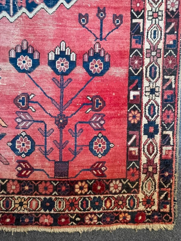 Hand Knotted Persian Wool Rug 251 x 170 cm Vintage Pink Salmon Rug — photograph 10